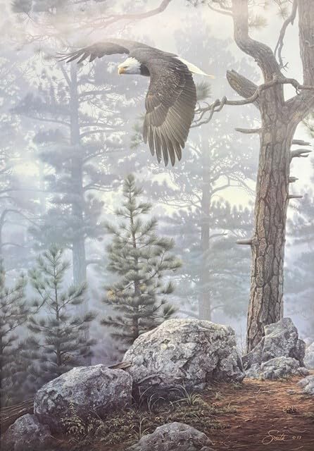 【Forestman works】Eagle touch the sky Amazon.com: Daniel Smith Shrouded Forest FRAMED ART Wildlife Eagle